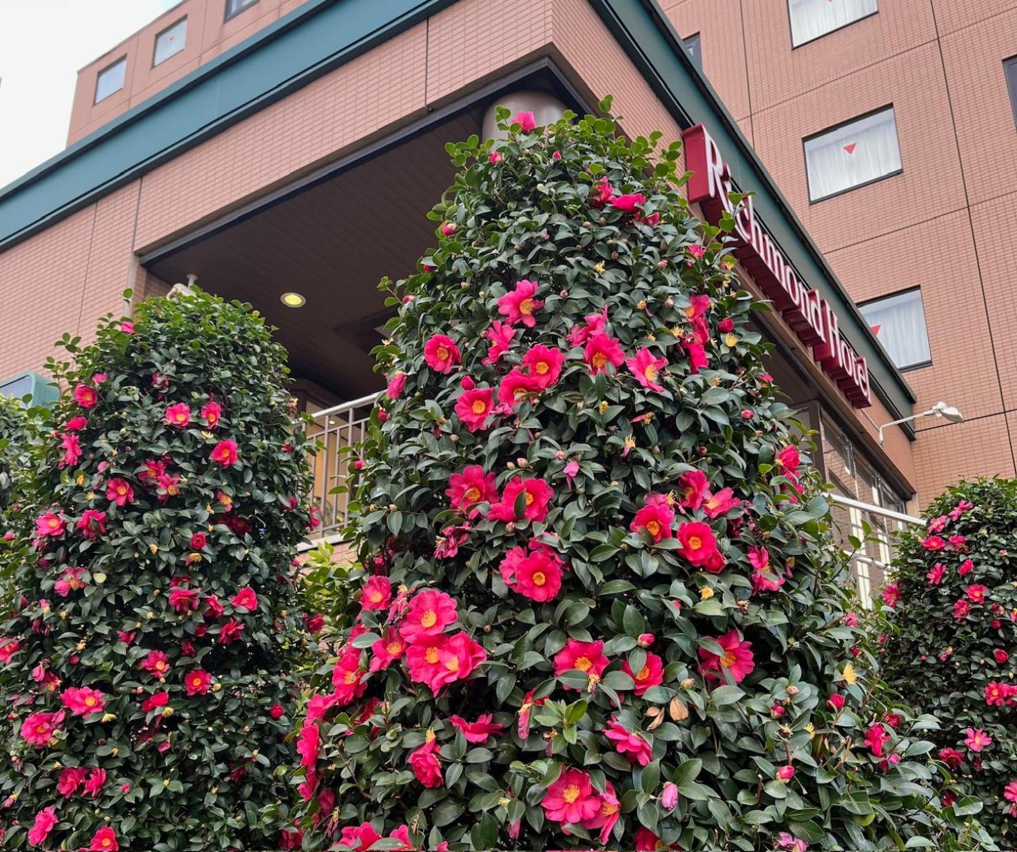 Richmond Hotel Tokyo Мусашино Екстериор снимка